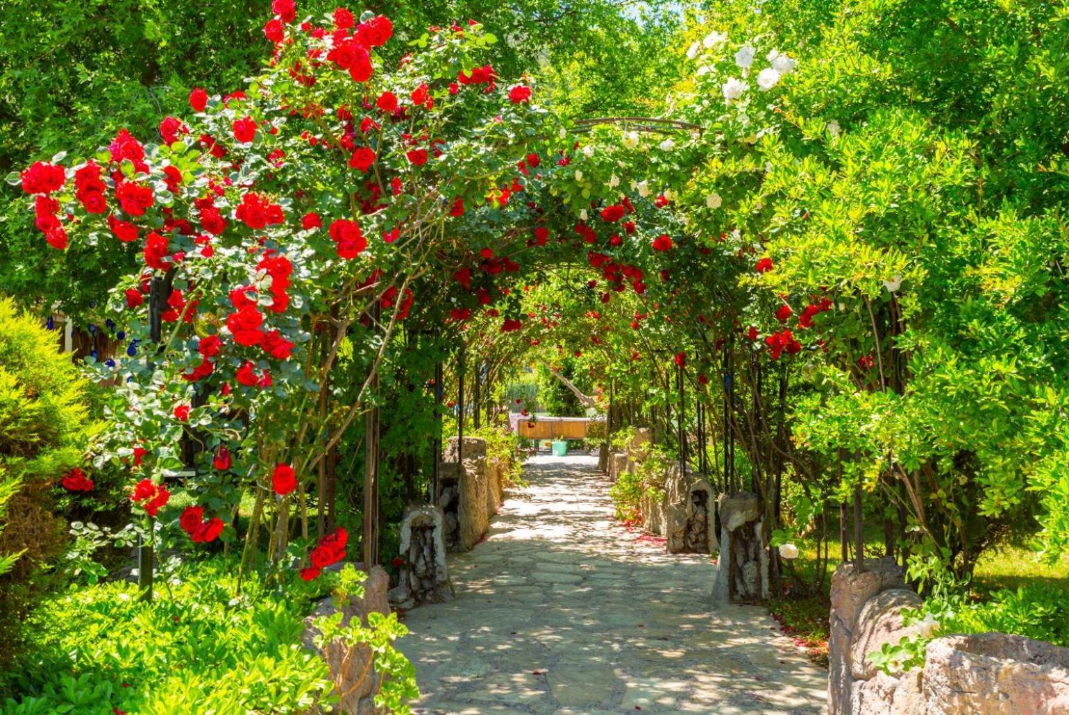 Villa Ayla Paradise Dalyan Exterior foto